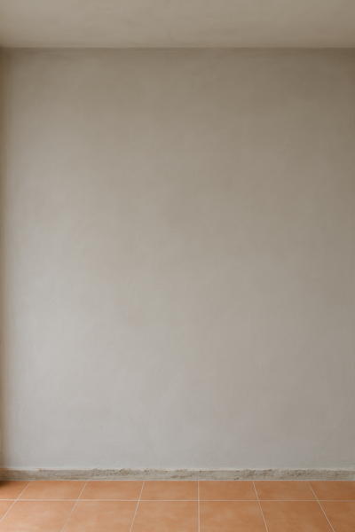 Mur intérieur lissé avant mise en peinture